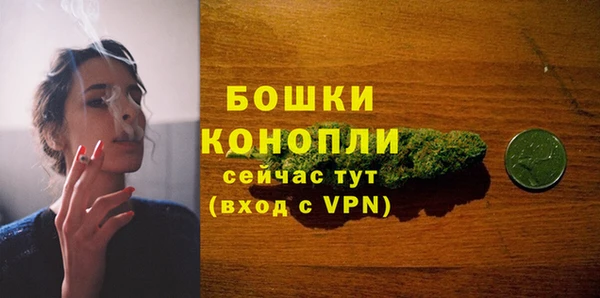 ПСИЛОЦИБИНОВЫЕ ГРИБЫ Россошь